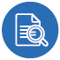 Audit Icon