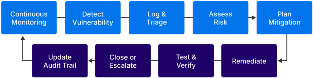 Continuous monitoring process (source)